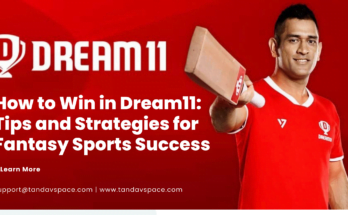 How to Win in Dream11