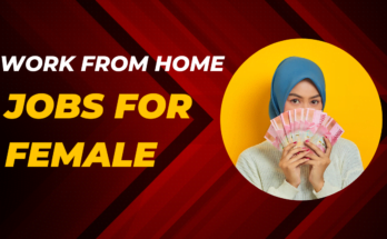 Work from Home Jobs for Female